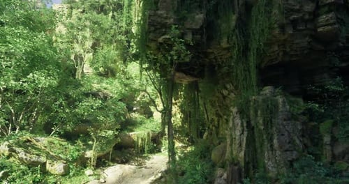 Discover a Serene Forest Path Amid Unique Rock Formations