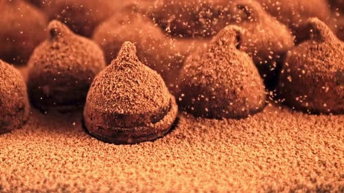 Delicious Chocolate Truffles Covered in Cocoa Powder