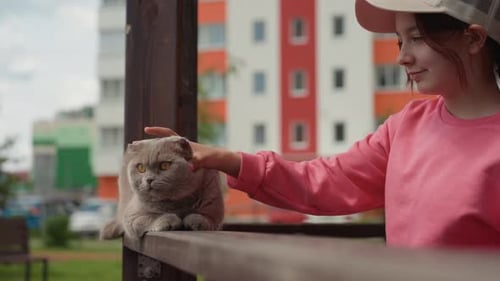 Girl Pets a Gray Cat on Wooden Railing