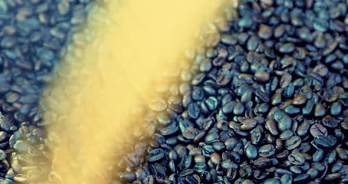 Dark Coffee Grains. Rotating and falling. Coffee beans. Close up of seeds of coffee. Beautiful seeds