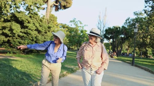 Happy senior women walking and talking in park