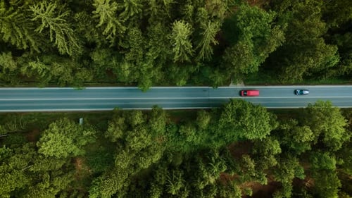 Automobile Driving Along Forest Road Red Van Moving Under Bright Sky Top View Transport Cruising