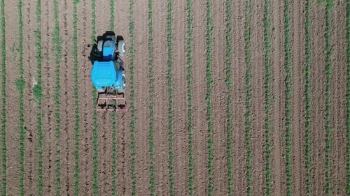 Agriculture field with tractor.