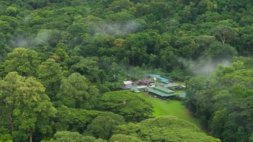Profitez de superbes vues aériennes d'une retraite sereine dans la jungle, idéale pour les amoureux de la nature et les écotouristes