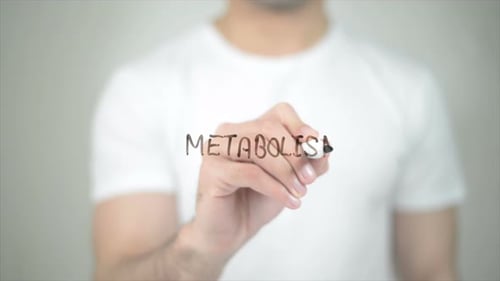 Metabolism, Man Writing on Transparent Screen