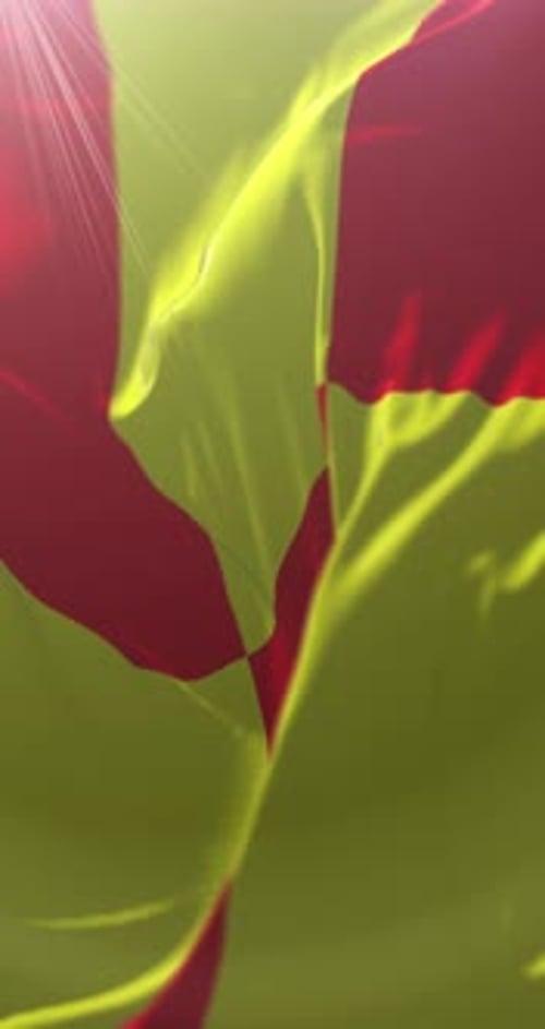 Vertical Waving Flag Background with Red and Yellow Stripes