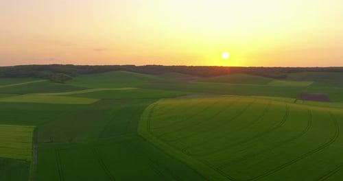 Luftaufnahme der Reifung von Sojabohnenfeldern während der Frühjahrssaison Agricultural Landscape Bird's
