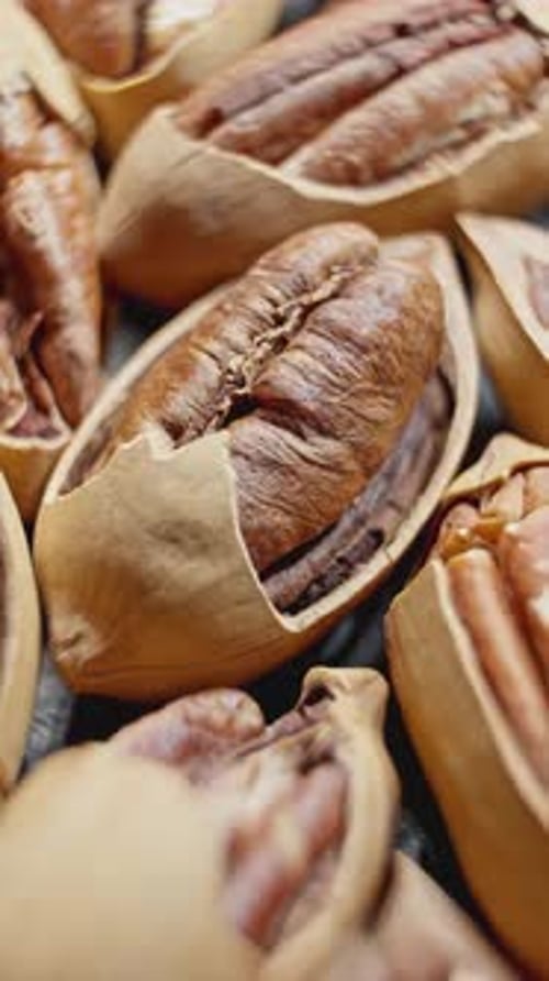 Partially Peeled Pecans Rotating Pile of Nuts Peeled Pecans are Spinning