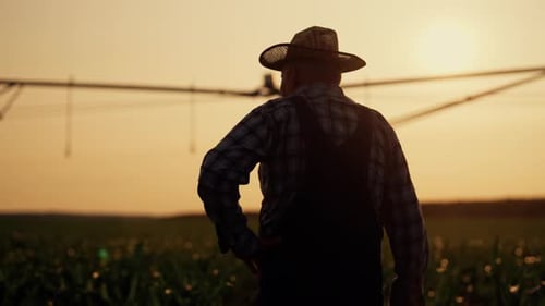 Farmer in Agricultural Field Backlit Silhouette in Farmland Agronomist Walking Agribusiness and
