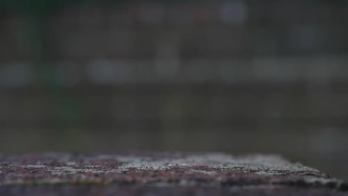 A bright red dice roll, shot on the end of a wall