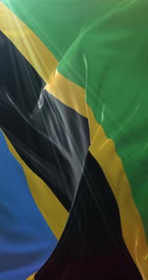 Realistic Tanzania Flag Waving in Slow Motion with Light Rays