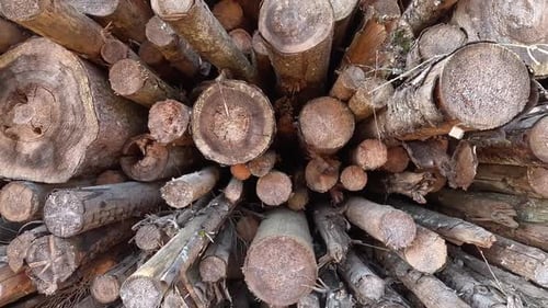 The Aerial View Showcases the Beautifully Stacked Logs That Blend Seamlessly Into Nature