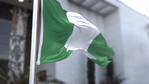 Realistic Waving Nigerian Flag with Fabric Texture