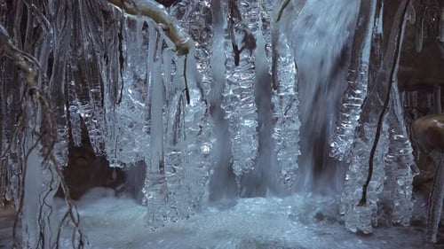 Frostcovered Branches in a Forest Closeup a Brook with a Small Waterfall in the Background