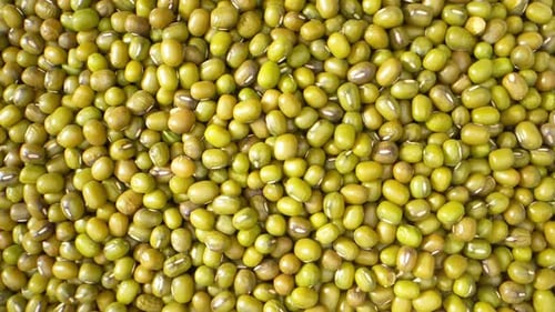 Explore las semillas de frijol mungo como nunca antes, en este macrovídeo