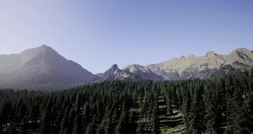 Majestic Mountain Landscape with Dense Forest Under Clear Blue Sky