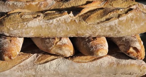Row of Traditional french breds