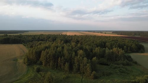 Aerial View of Arable Land and Fields with a Crop of Cereals Among the Forests on a Summer Day