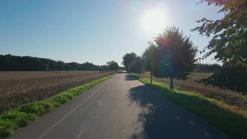 First-person view moving along country asphalt road between fields and trees