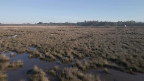 Untamed Wetland with Brown Grasses and Reflective Pools
