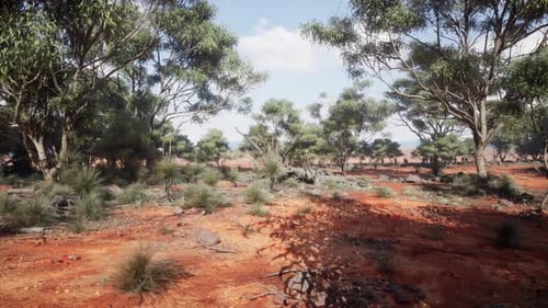 A Natural Landscape with Trees and Bushes in a Dirt Field