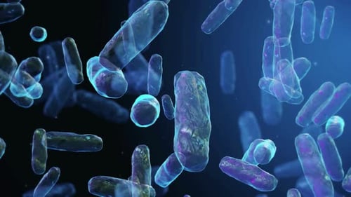 Microbiome, gut bacteria