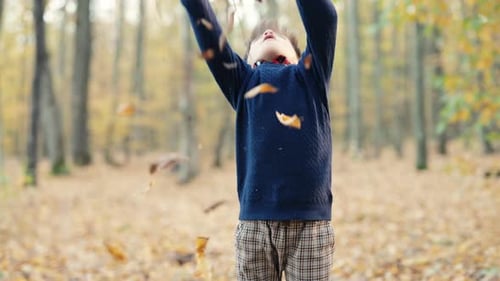 Little Funny Child Boy Throws Pile of Orange Leaves Overhead Playing in Park
