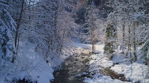 Aerial View Mountain River Flowing Through a Picturesque Snowcovered Forest