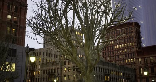 Rotating Bare Tree Animation in Urban City Environment