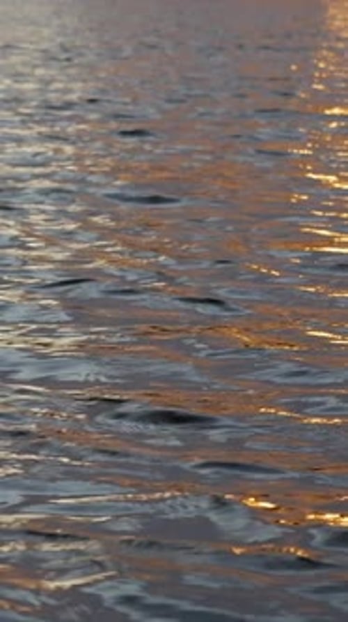 Golden Sunlight Reflecting on Gentle Ocean Waves