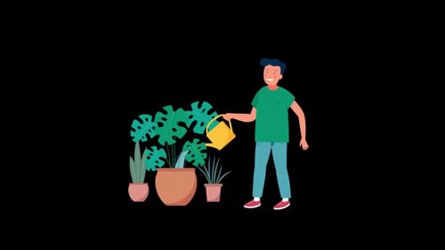 2D Young Man Gardening At Home Alpha Channel