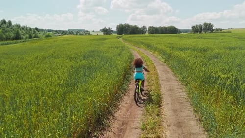 Biking Through Green Fields on a Sunny Day in the Countryside