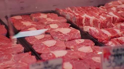 Variety of Raw Red Meat Cuts in Butcher Shop