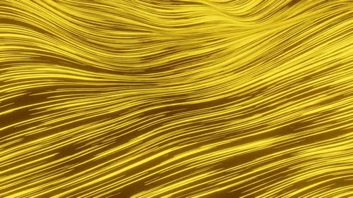 Abstract Golden Wavy Lines Seamless Loop Background