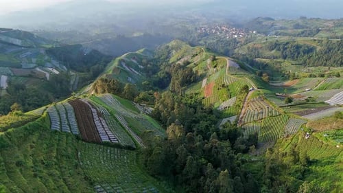 Drone scenery of terraced plantations on lush hillsides, rolling agricultural hills.