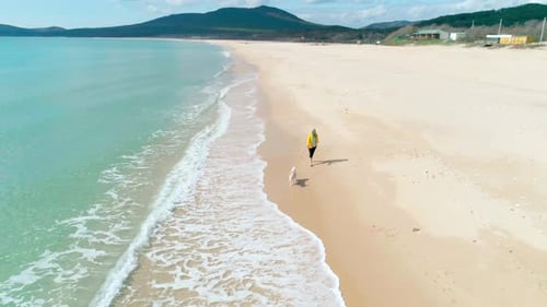 Aerial View of a Young Woman in Yellow Jacket Walking on Beach with Her Dog