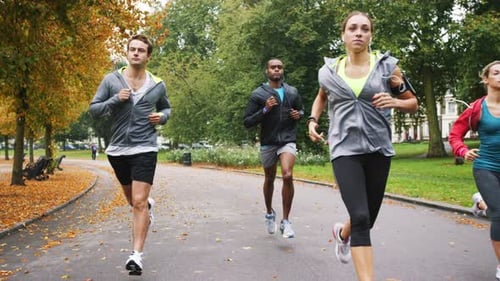 4k video footage of a group of young friends jogging together through the park