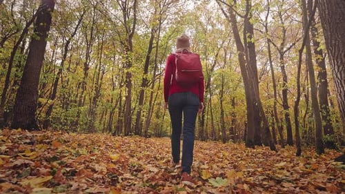 Beautiful Autumn Forest Landscape A Young Woman Joyfully Runs on a Carpet of Bright Yellow Leaves