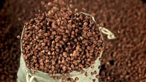 Buckwheat Falls Into the Bag Filmed on a Highspeed Camera at 1000 Fps