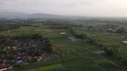 Vue aérienne du village traditionnel indonésien et de la rizière.