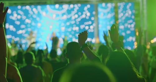 Excited Crowd Enjoying Energetic Music Concert at Night
