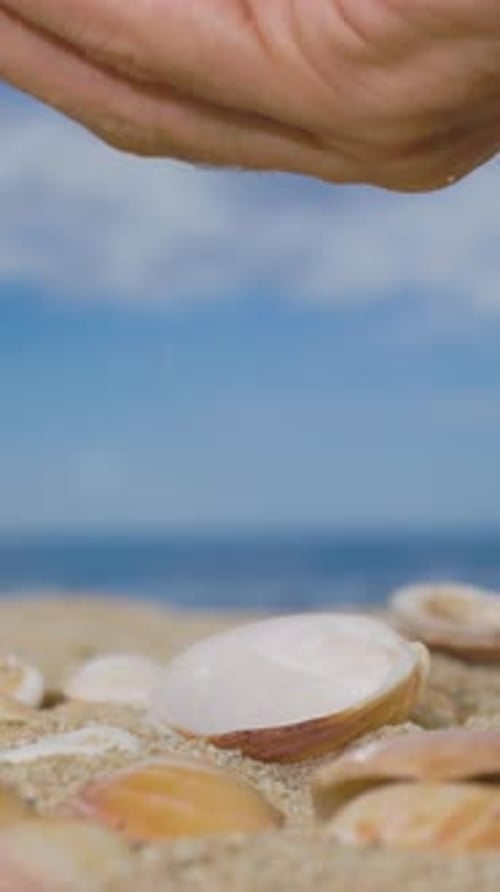 Muscheln an einem schönen Strand in Vertikal