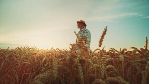 View of Old Confident Caucasian Male Farmer in Hat and Plaid Shirt Keeping Hands on Waist Standing