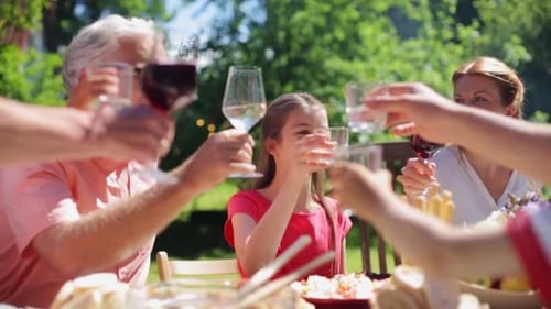Family Having Festive Outdoor Meal Together Clinking Glasses