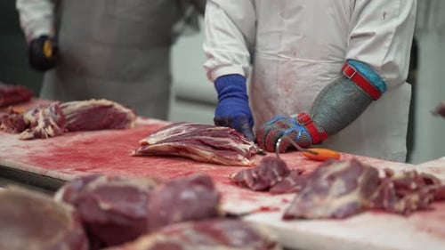 Beef cuts being separated from fat by workers with a knife at a meat processing plant
