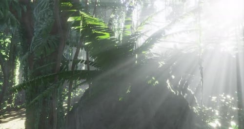 Lush Green Jungle Bathed in Ethereal Light Creates a Serene Atmosphere