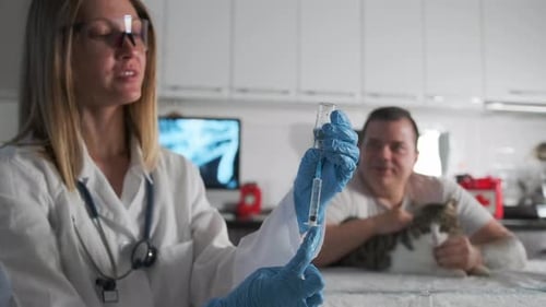 Veterinarian Prepares a Shot for a Cat at Clinic