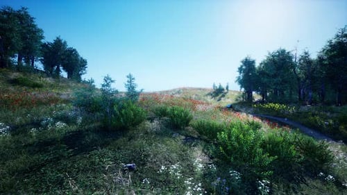 Tree Forrest in the Mountains
