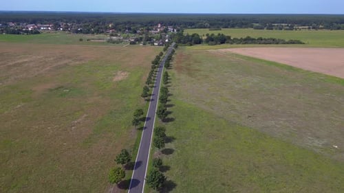 Trees on empty road, countryside between fields. Perfect aerial view flight drone