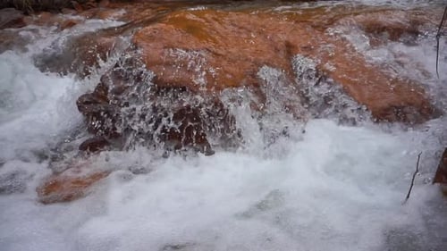clear river water flowing in the mountains and green trees with a stretch of orange rocks